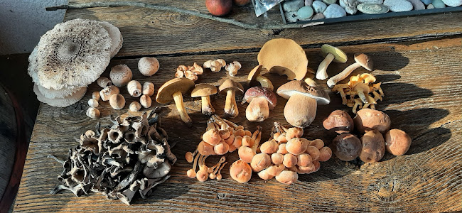 Opinii despre Kumrić breg klet în Lukavec - Gastronomija i ugostiteljstvo