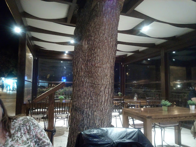 Destoso - Gastronomija i ugostiteljstvo