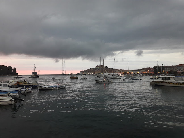 Restaurant Squero - Gastronomija i ugostiteljstvo