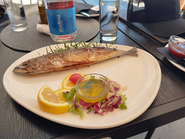 Comentarii opinii despre Reflektor - Murter