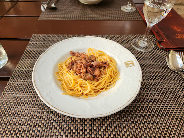 Comentarii opinii despre Mimoza