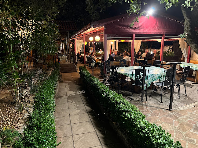 Comentarii opinii despre Kiwi