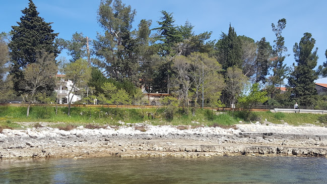 Taverna Marea Restaurant & Summer Grill - Gastronomija i ugostiteljstvo