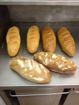 Opinii despre Florentina Obrt în Zagreb - Gastronomija i ugostiteljstvo