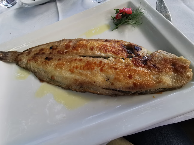 Restaurant Toni - Gastronomija i ugostiteljstvo