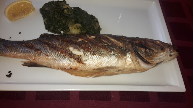 Comentarii opinii despre Fančita