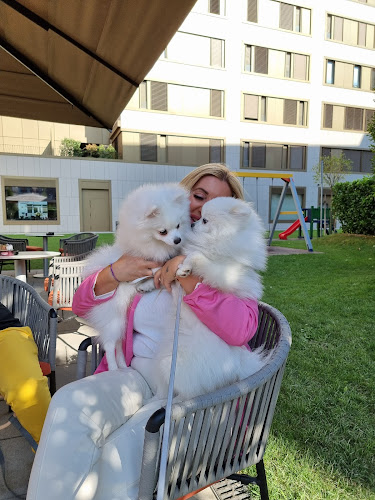 Comentarii opinii despre B Blok Caffe Bar