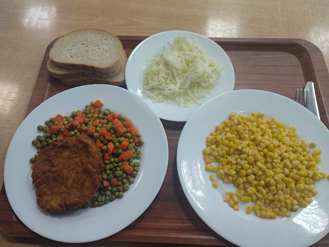 Comentarii opinii despre Studentski restoran Cvjetno naselje