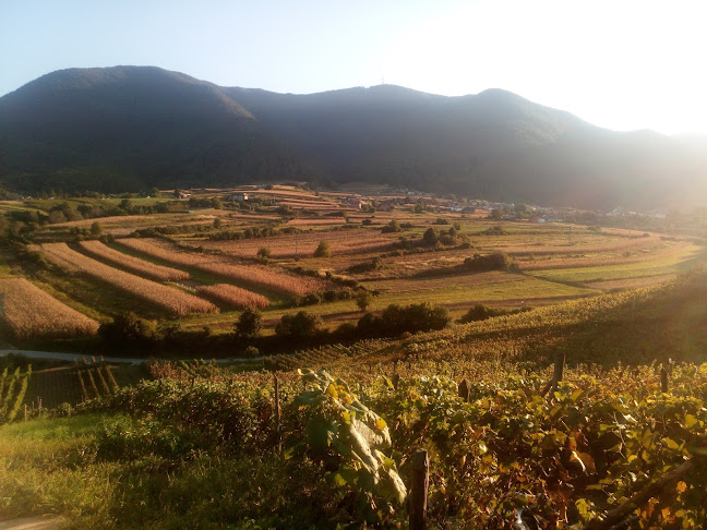 Prigorec 145, 42240, Prigorec, Hrvatska