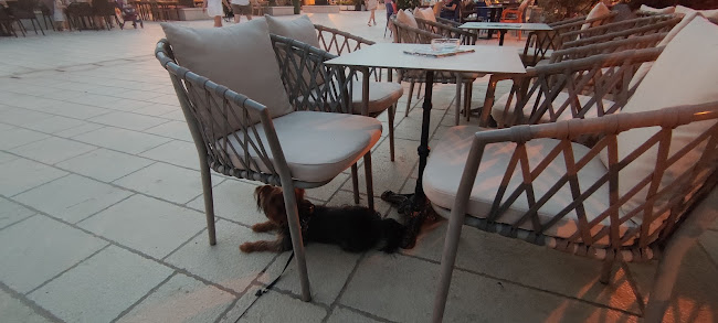 Molo Misto - Gastronomija i ugostiteljstvo