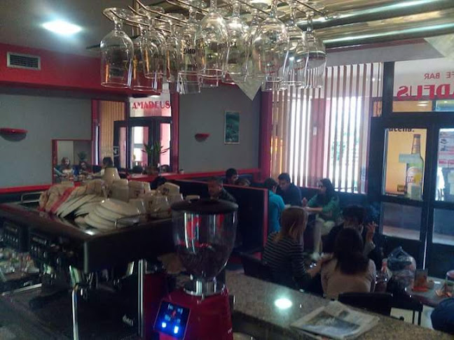 Amadeus Good Food - Gastronomija i ugostiteljstvo