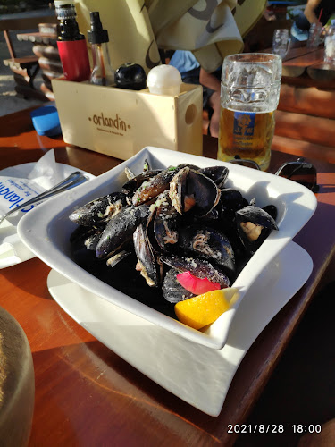 Comentarii opinii despre Orlandin