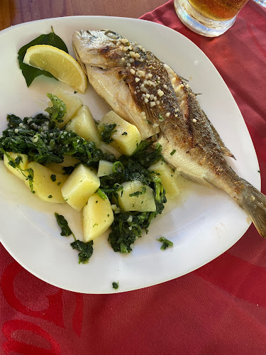 Restaurant Delfin - Gastronomija i ugostiteljstvo