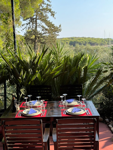 Ristorante Palmizana Meneghello - Gastronomija i ugostiteljstvo