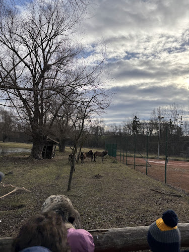 Opinii despre Terme Sveti Martin în Sveti Martin na Muri - Gastronomija i ugostiteljstvo