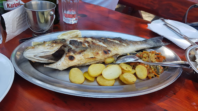 Comentarii opinii despre Tri Grede