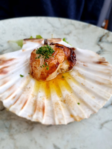 Plavi podrum - Gastronomija i ugostiteljstvo