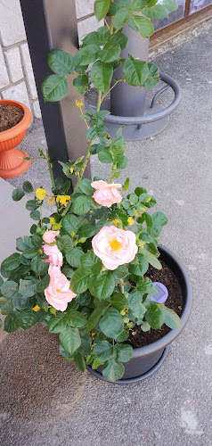 Comentarii opinii despre Caffe Bar " San Remo"