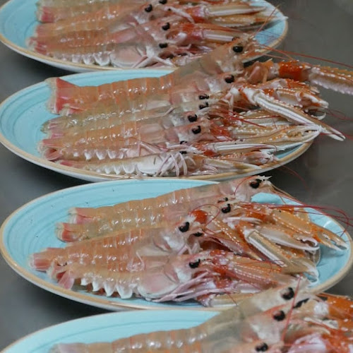 Restoran Rubin - Gastronomija i ugostiteljstvo