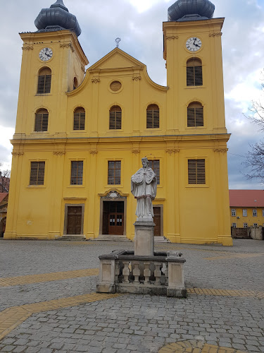 Comentarii opinii despre Club Memories