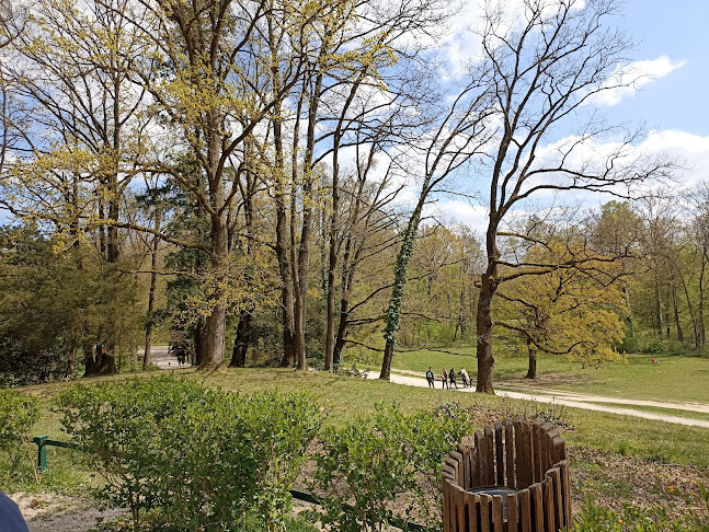 Comentarii opinii despre Vidikovac