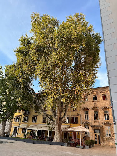 DONAT d.o.o. - Gastronomija i ugostiteljstvo