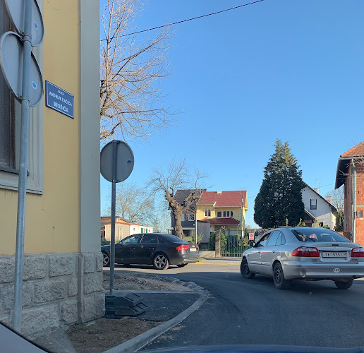 Trg Hrvatskih branitrlja, 44250, Petrinja