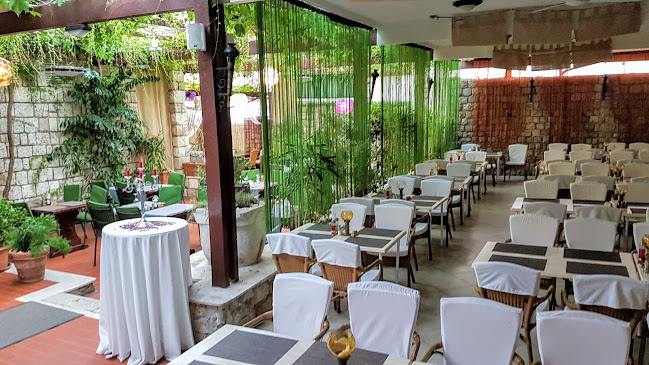 Comentarii opinii despre Mimoza