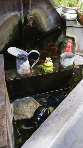 Ul. Josipa Jurja Strossmayera 1, 35000, Slavonski Brod