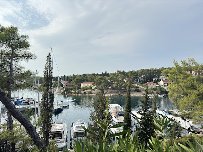 O HVAR, 524, 21463, Vrboska