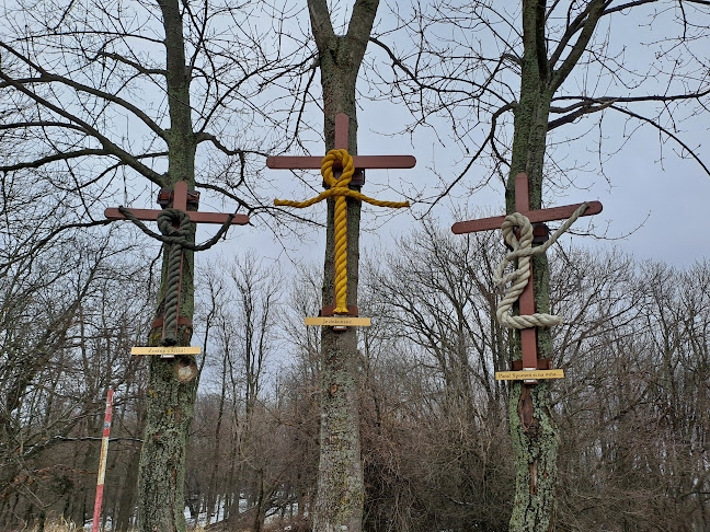 Biglietteria Linea Marittima Jadrolinija - Gastronomija i ugostiteljstvo