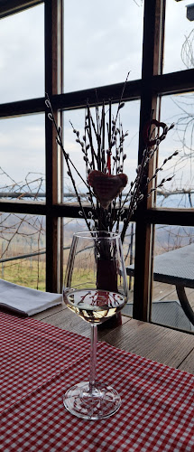 Bolfan Vinski Vrh - Hrašćina