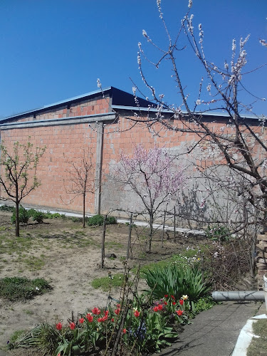 Opinii despre Caffe bar Z.Mostar în Vukovar - Gastronomija i ugostiteljstvo