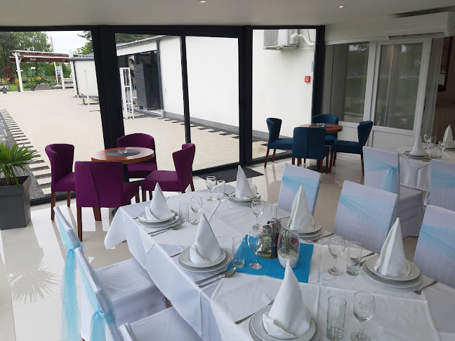 Comentarii opinii despre Panon