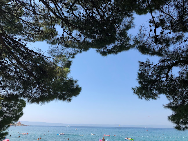 Mañana - Gastronomija i ugostiteljstvo