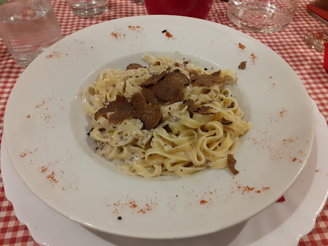 Comentarii opinii despre Terra Istriana