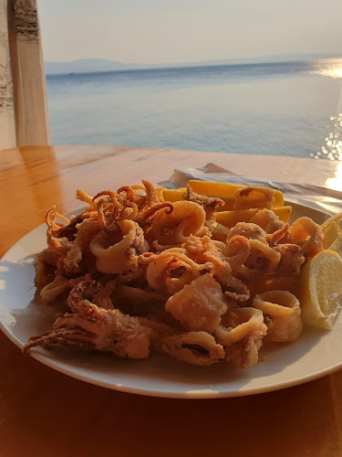 Ribarska koliba - Gastronomija i ugostiteljstvo