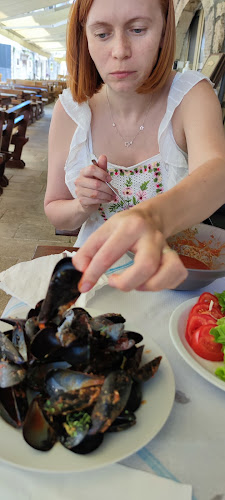 Comentarii opinii despre HARPUN