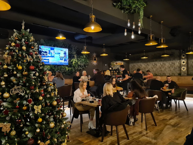 Comentarii opinii despre Kavana 74