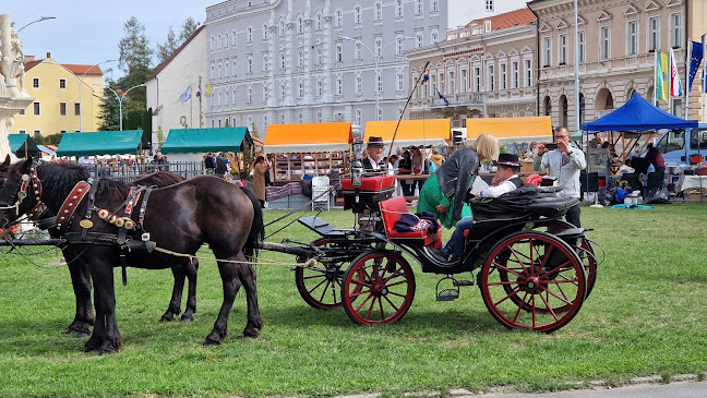 Mesnička ul. 4, 34000, Požega