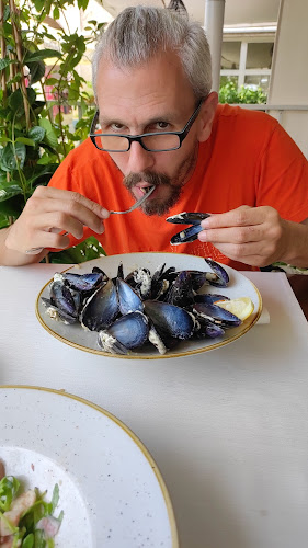 Comentarii opinii despre Fortuna