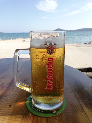 Comentarii opinii despre Vićevica