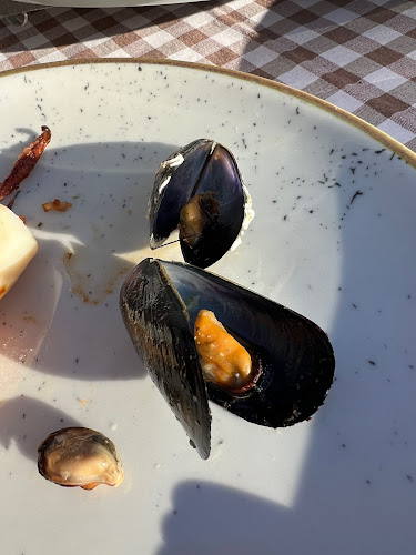 Tri Palme - Novigrad