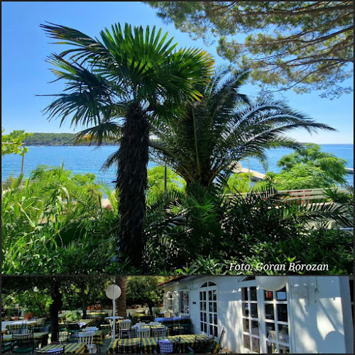 Comentarii opinii despre Elizabeta