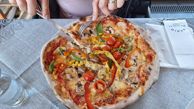 Restoran Dario - Gastronomija i ugostiteljstvo