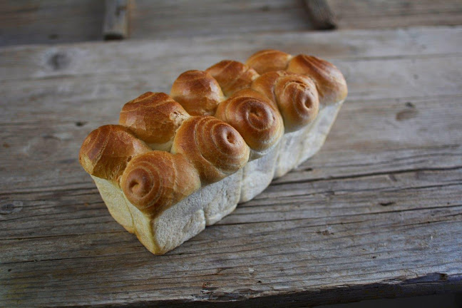 BRIONKA - Tradicija na Vašem stolu - Pula