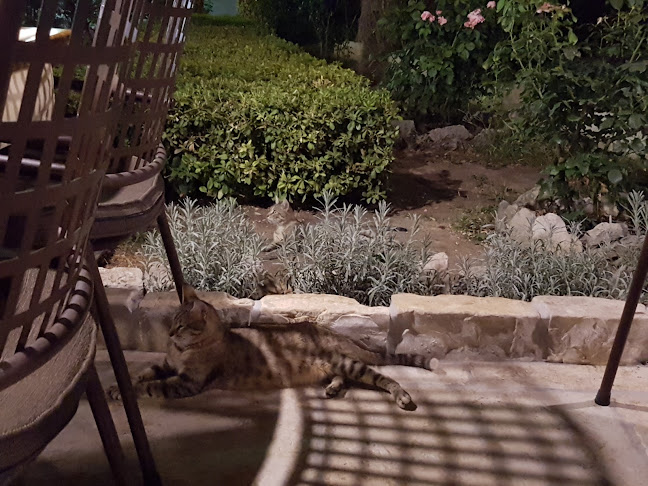 Ul. Jurja Dalmatinca 3, 23000, Zadar