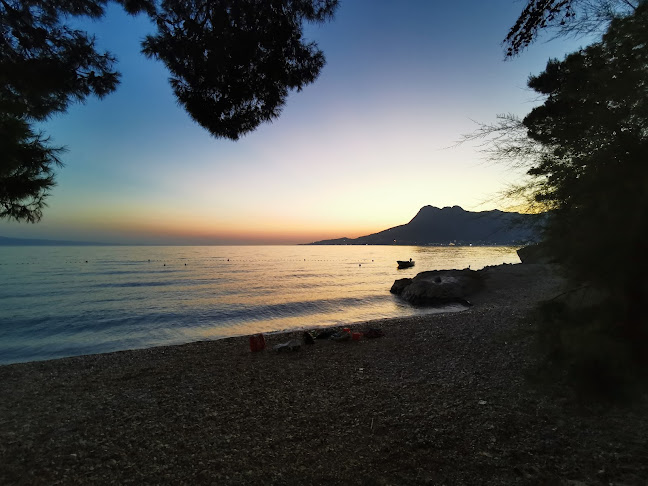 Comentarii opinii despre Restaurant Zvizdan