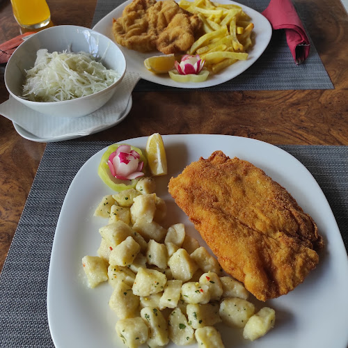 Bilogorska ul. 20, 33000, Virovitica