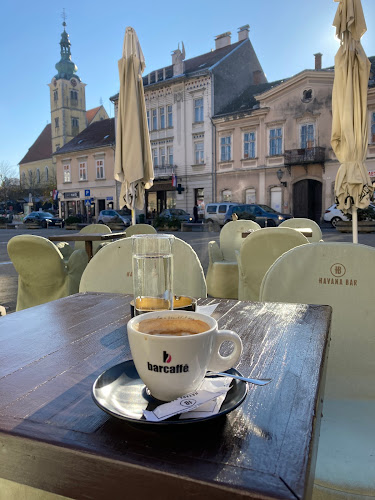 Trg kralja Tomislava 3, 10430, Samobor